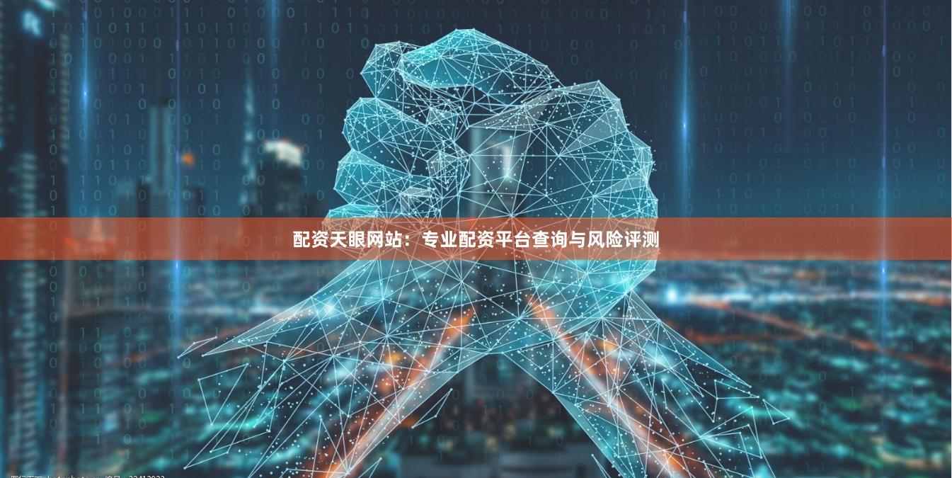 配资天眼网站：专业配资平台查询与风险评测